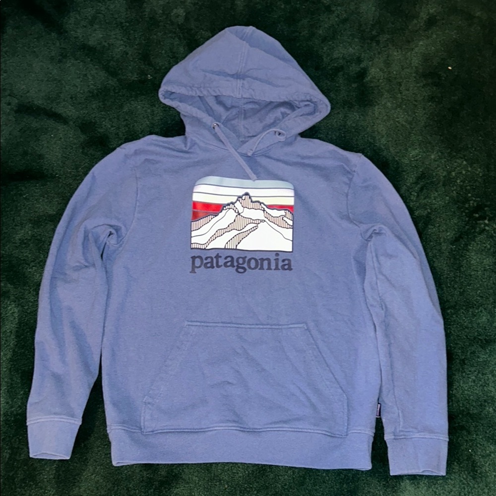 Patagonia Blue Hoodie